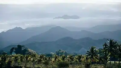 Local Area