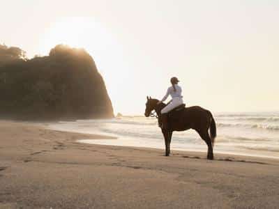 Horseback Riding