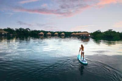 Paddle Boarding