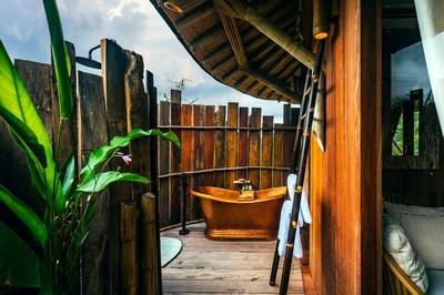 Tree House