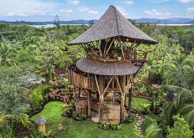 Tree House