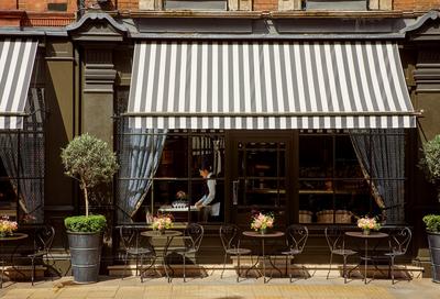 Brasserie Max