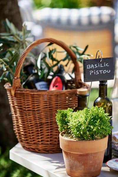 Olive Oil Tasting