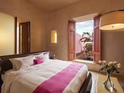 Xocolate Suite