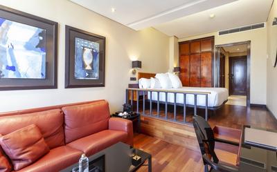 Superior Room with View