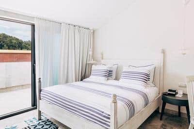 Attic Suite with Terrace