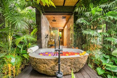 Premium Jabu with Plunge Pool