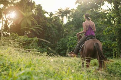 Horse Riding