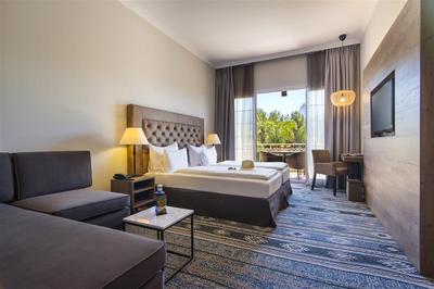 1 King Bed Pool View