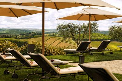 Swimming Pool - Terrace