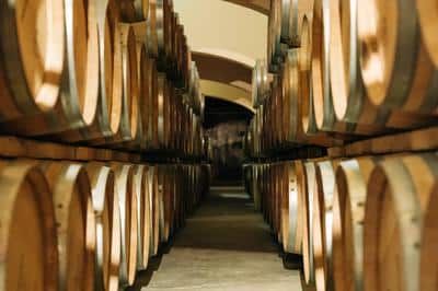 Château Wine Cave