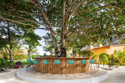 Danny's Tree Bar
