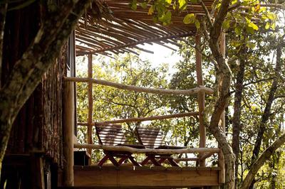 Waterfall View Suite