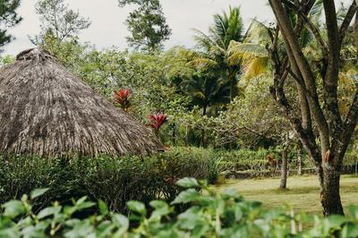 Gardens