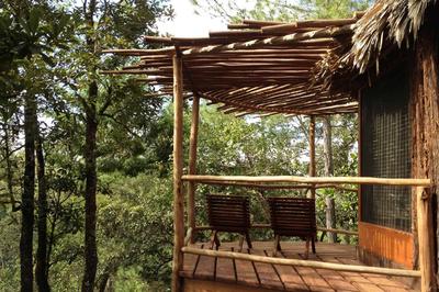 Waterfall View Suite