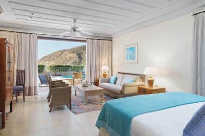 Executive Suite Eagles Nest Plunge Pool