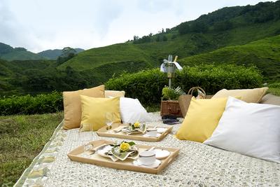 Signature Picnic Experience