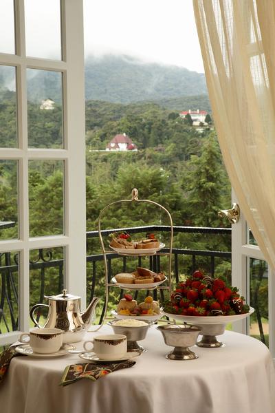 Afternoon Tea