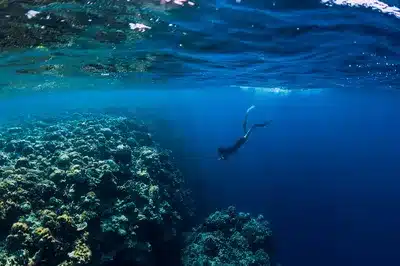 Diving