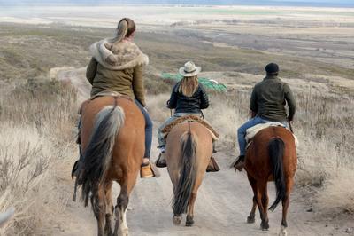 Horseback Riding