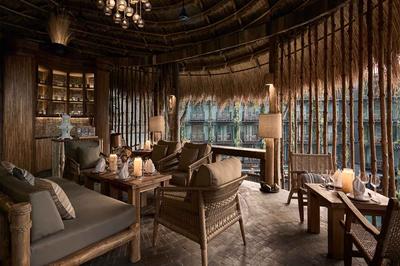 D Jungle House