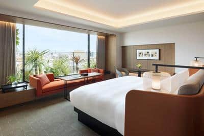 Premier Room 1 King City View