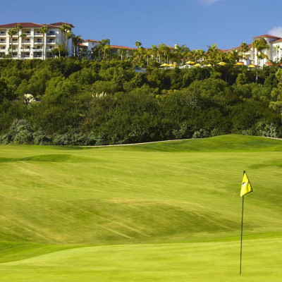 Park Hyatt Aviara Resort, Golf Club & Spa image