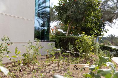 JW Garden