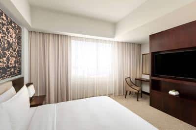 Premium Room 1 King Sofa Bed