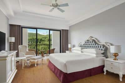 Deluxe Room 1 King Garden View