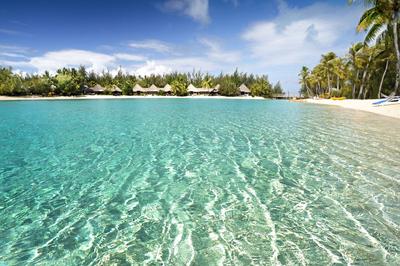 Lagoon