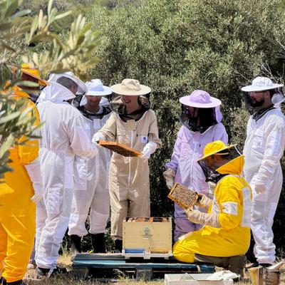 Bee Keeping Experience
