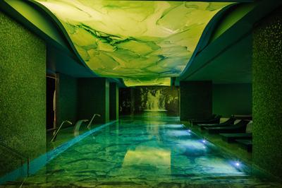 Laurea Spa