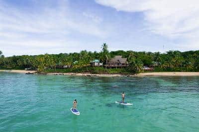 Paddle Board