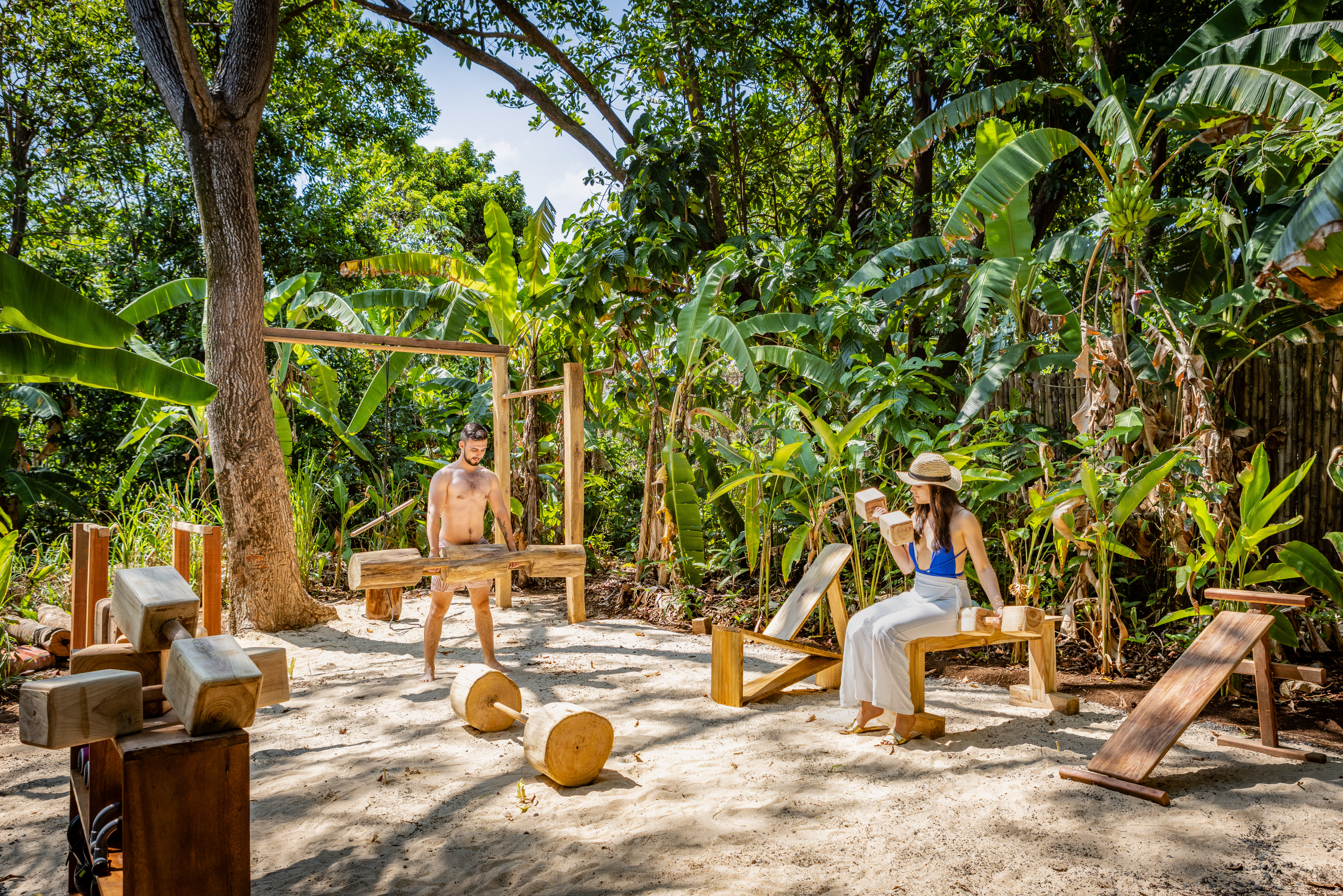 Jungle Gym