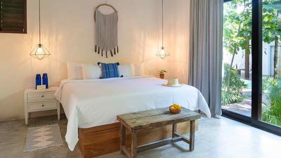 Jungle King Room at Lula by La Zebra