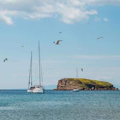 Sailing