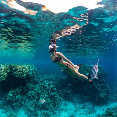 Snorkelling