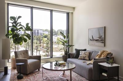 One Bedroom Apartment