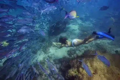 Snorkeling