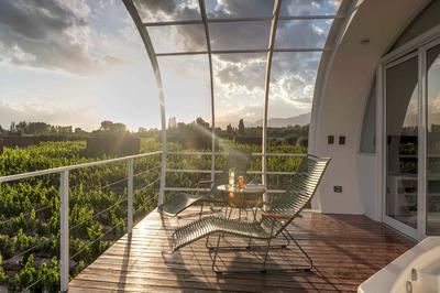 Loft Suite - Limited Edition