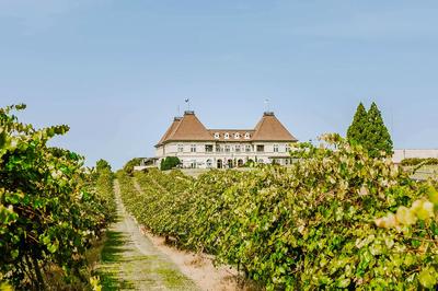 Vineyard