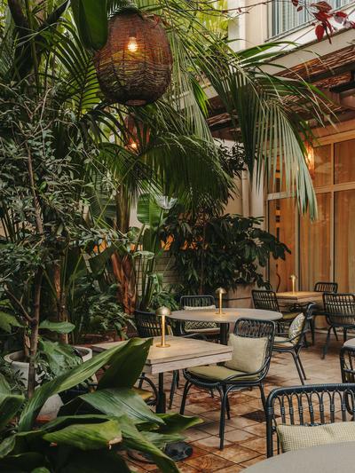 The Terrace