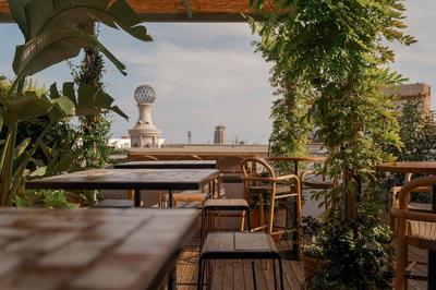 The Terrace
