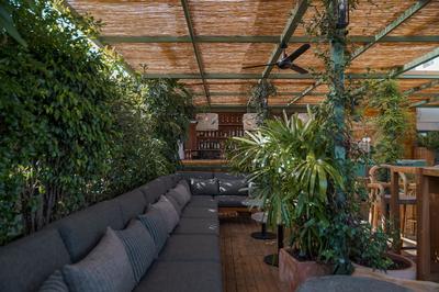 The Terrace
