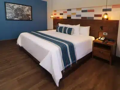 1 King Bed Suite