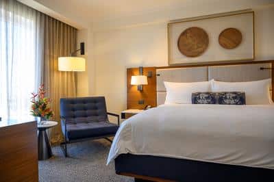 1 Bedroom Suite