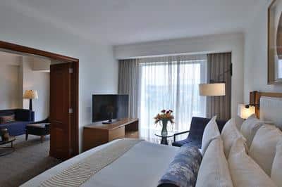1 Bedroom Suite