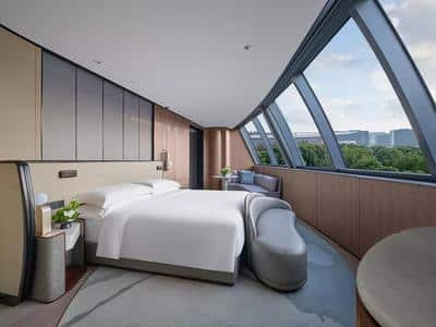 1 Bedroom Suite Lounge Access