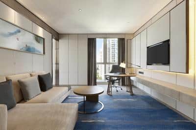 1 Bedroom Suite City View